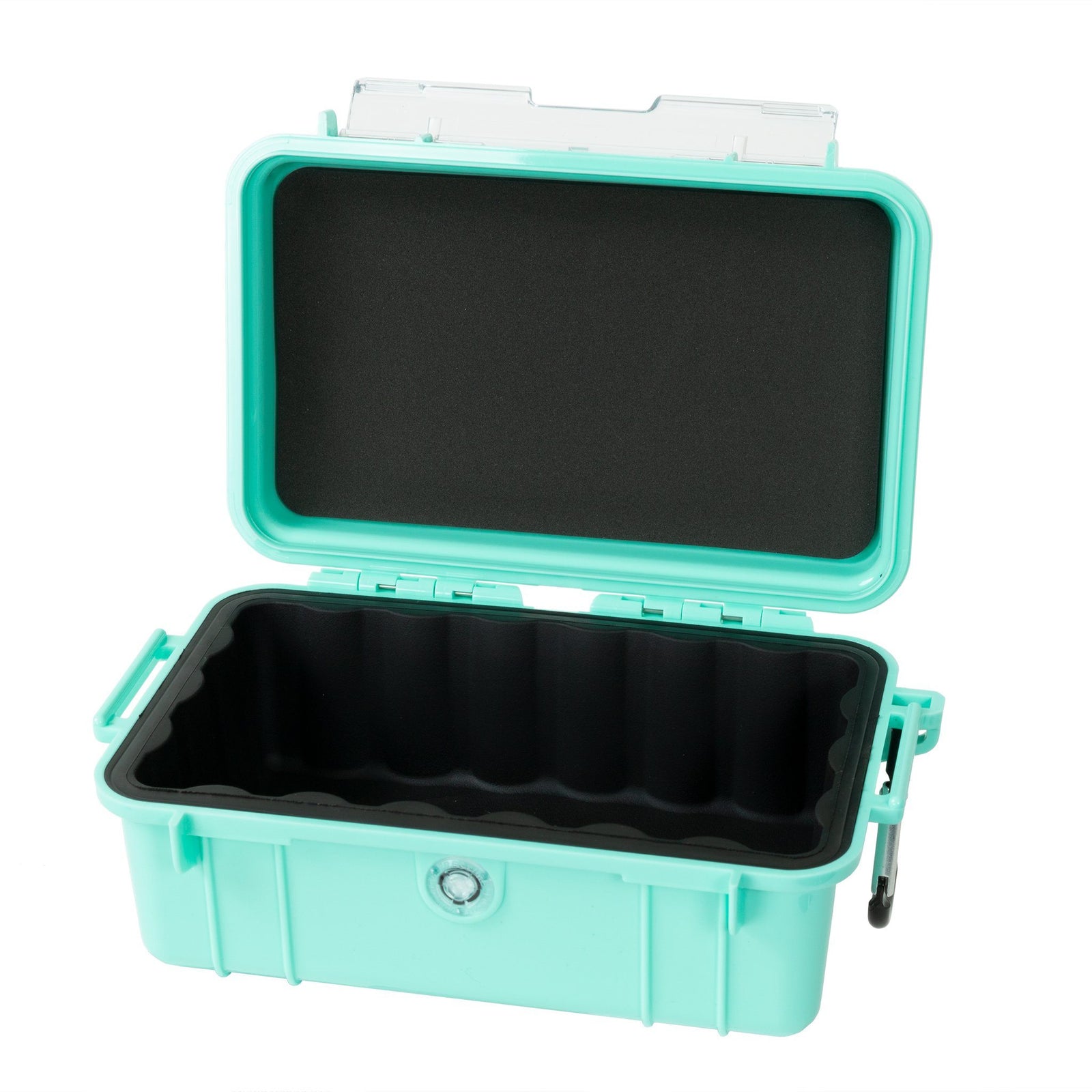 Pelican 1050 Case, Seafoam ColorCase