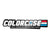 "Real American Protective Cases" ColorCase Die Cut Sticker ColorCase 