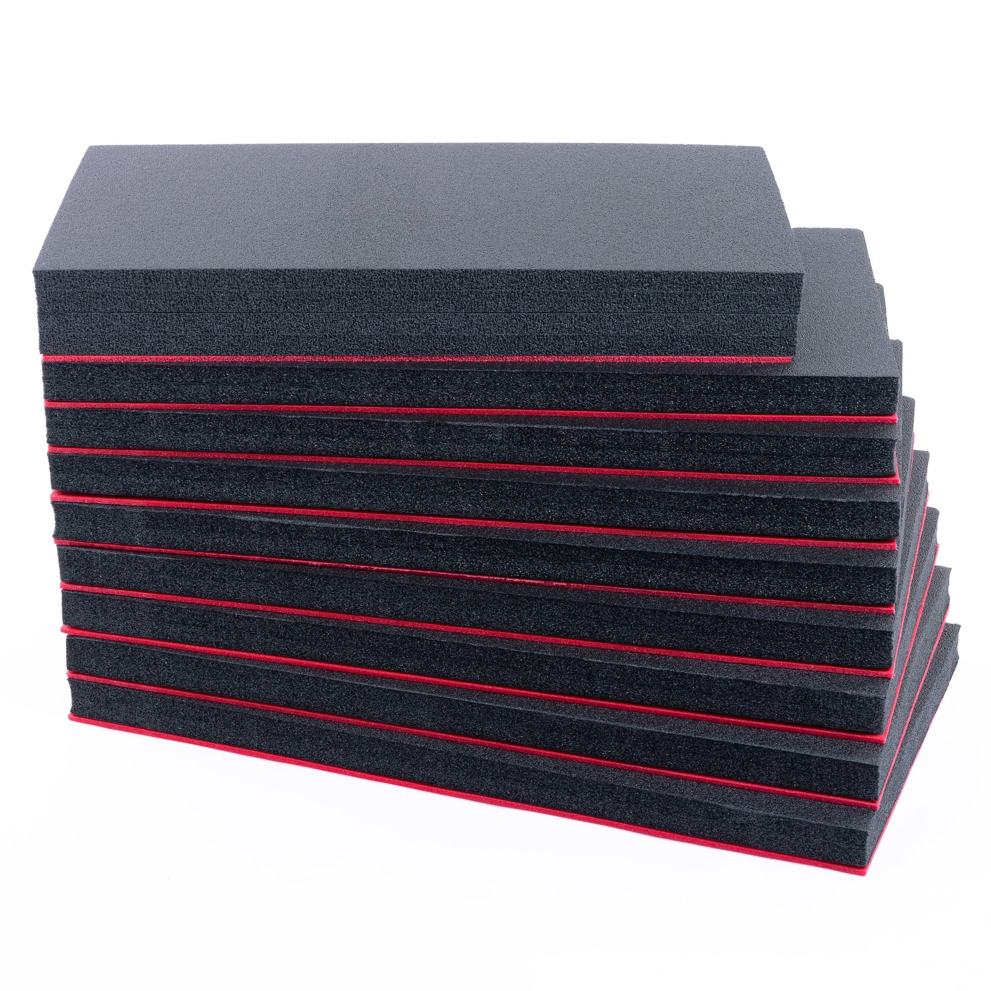 Foama N945 Case for 6 Filters with Foam Insert (Black/Red)